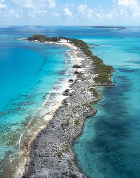 Rose Island
