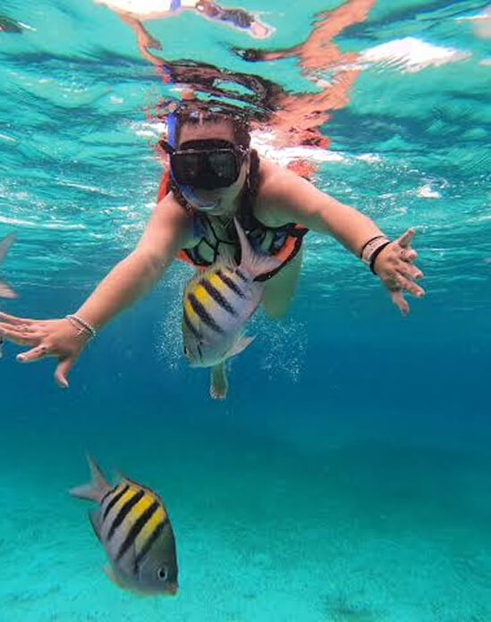 Snorkeling Reefs